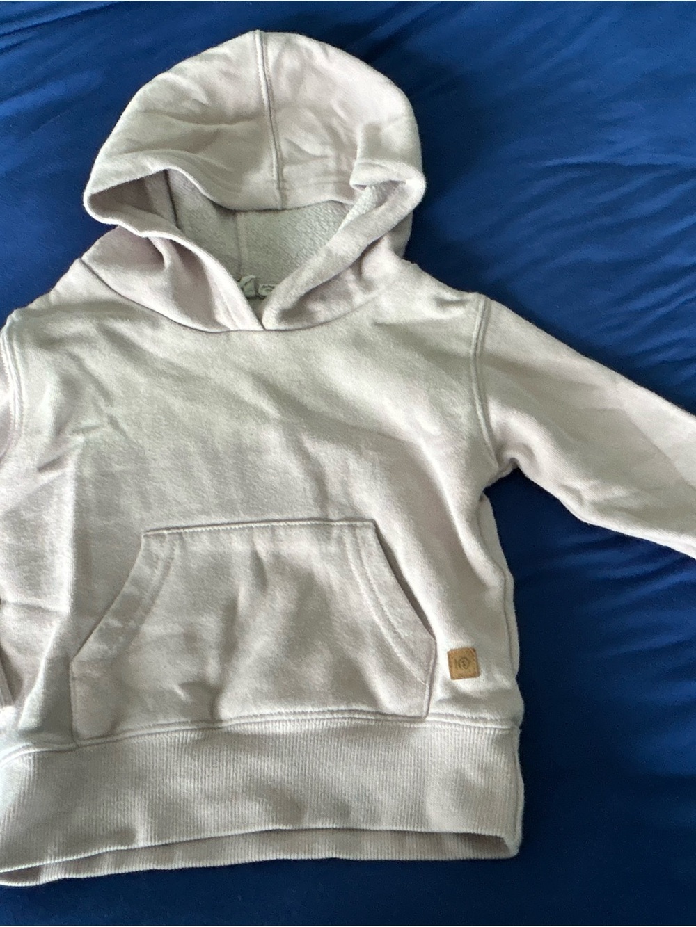 tentree Kids Hooded Pullover Sweatshirt in Light Taupe